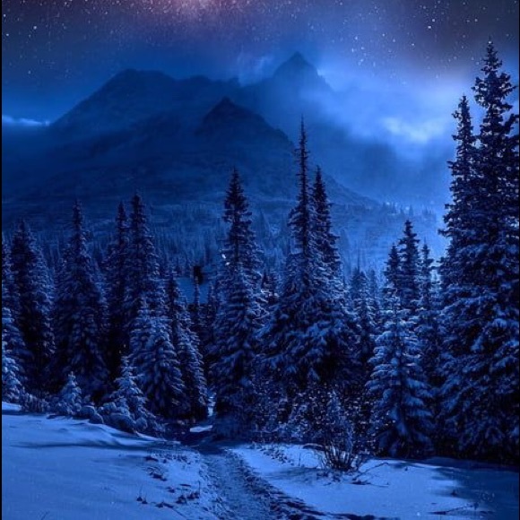 Meet your Posher, George - Picture 1 of 1